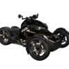 kit-deco-can-am-Ryker-incredible-edition-sable.jpg