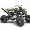 Kit-deco-Raptor-700-Titan-Jaune-3D.jpg