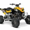 kit-deco-Can-Am-DS-450-Elite-Jaune-Gris-3D.jpg