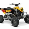 kit-deco-Can-Am-DS-450-Elite-Jaune-Rouge-3D.jpg