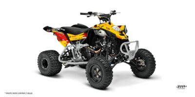 CAN-AM DS 450 ELITE