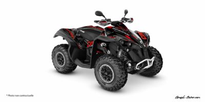 CAN-AM RENEGADE SHINE