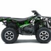 kit-deco-kawasaki-KVF-750-skull-vert-3D.jpg