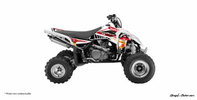 SUZUKI LTR 450 CAMINO