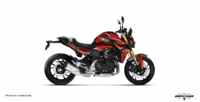 BMW F900 R FELT