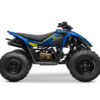 Kit-déco-CForce-110-EFI---16+-The-Bat-bleu-3D