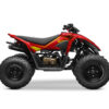 Kit-déco-CForce-110-EFI---16+-The-Bat-rouge-3D