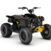 kit-déco-CANAM-Renegade-70---110-2023+-Thr-Bat-noir-3D